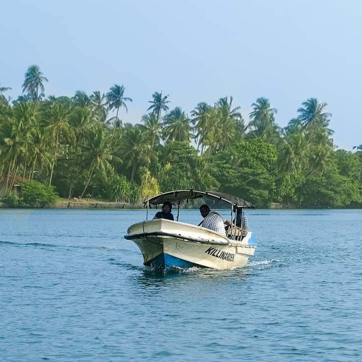 Koggala Lake boat Safari - 3 Hours - Afbeelding 4