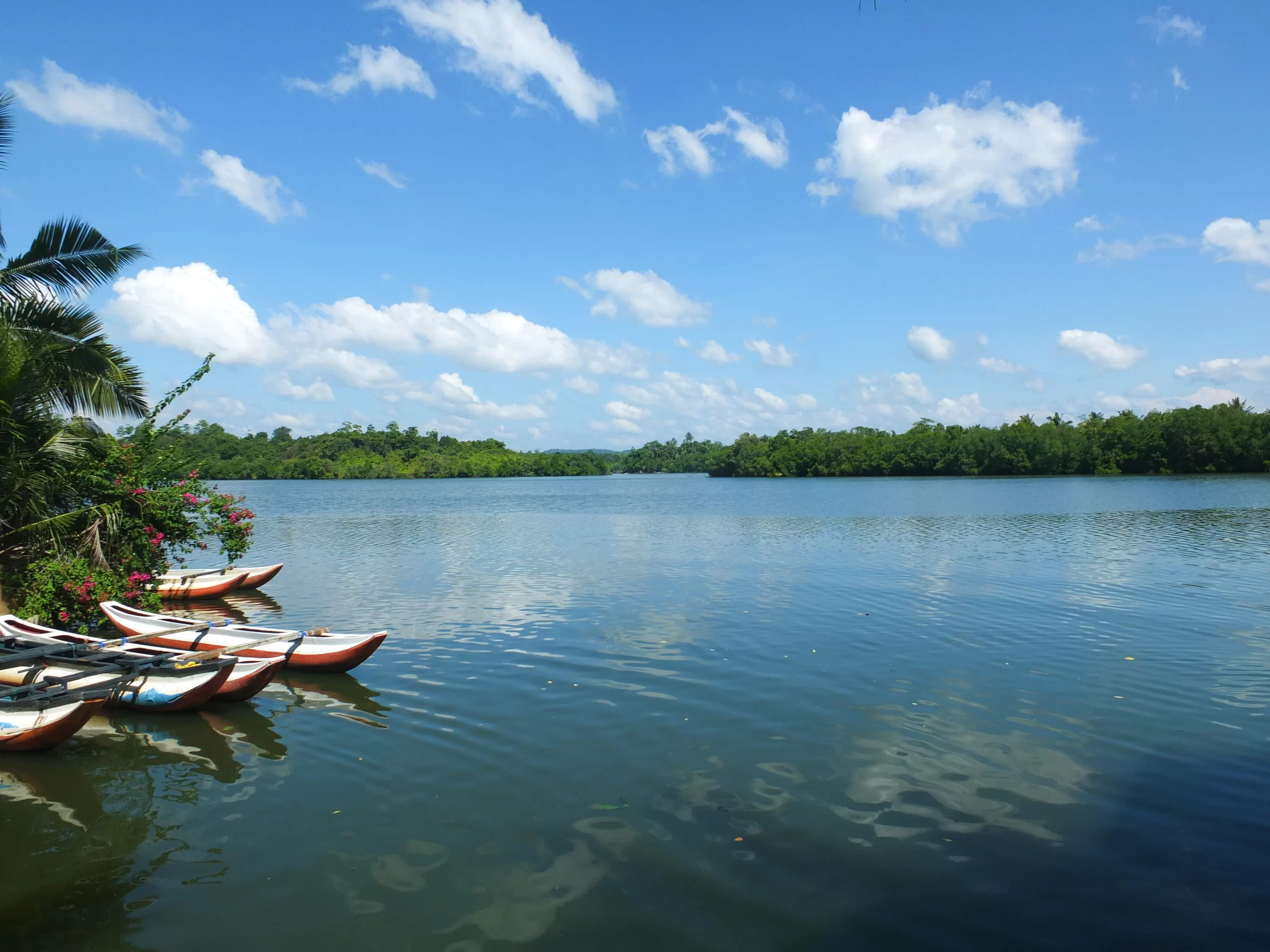 Koggala Lake boat Safari - 3 Hours - Afbeelding 6
